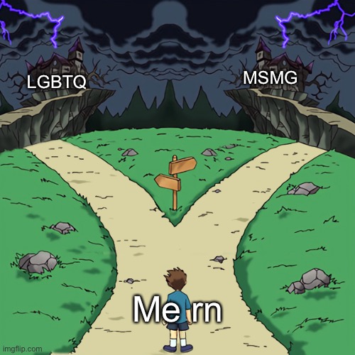 Difficult choices | MSMG; LGBTQ; Me rn | image tagged in two paths | made w/ Imgflip meme maker