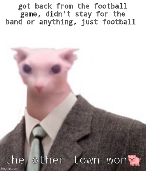 we're going to dairy queen now I'm tired of that place | got back from the football game, didn't stay for the band or anything, just football; the other town won🐖 | image tagged in bingus | made w/ Imgflip meme maker