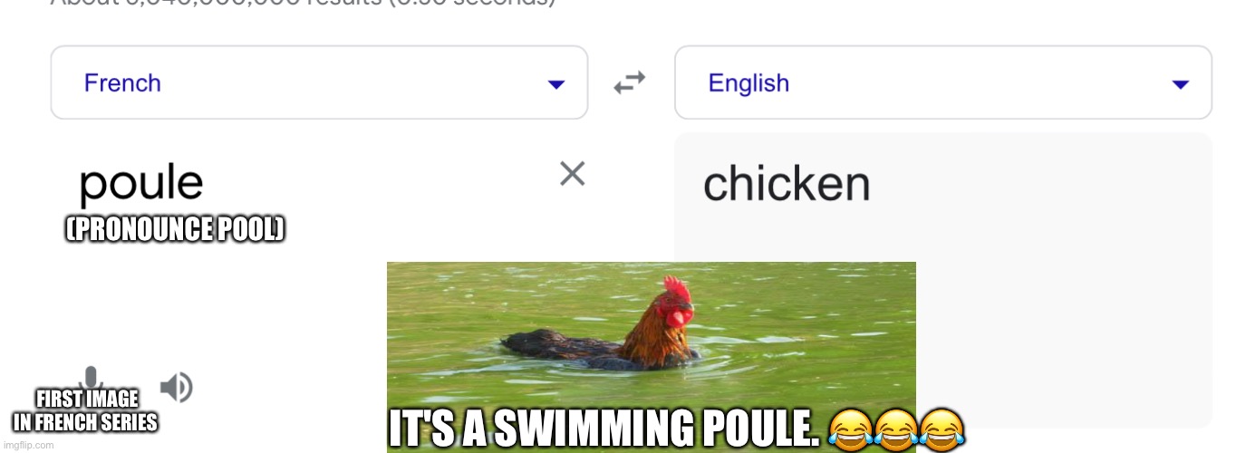 French | (PRONOUNCE POOL); IT'S A SWIMMING POULE. 😂😂😂; FIRST IMAGE IN FRENCH SERIES | image tagged in french,memes,chicken | made w/ Imgflip meme maker