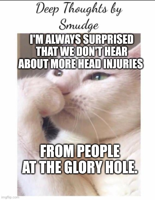 Smudge | I'M ALWAYS SURPRISED THAT WE DON'T HEAR ABOUT MORE HEAD INJURIES; FROM PEOPLE AT THE GLORY HOLE. | image tagged in smudge | made w/ Imgflip meme maker