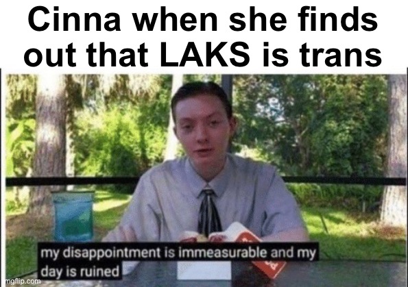 My dissapointment is immeasurable and my day is ruined | Cinna when she finds out that LAKS is trans | image tagged in my dissapointment is immeasurable and my day is ruined | made w/ Imgflip meme maker