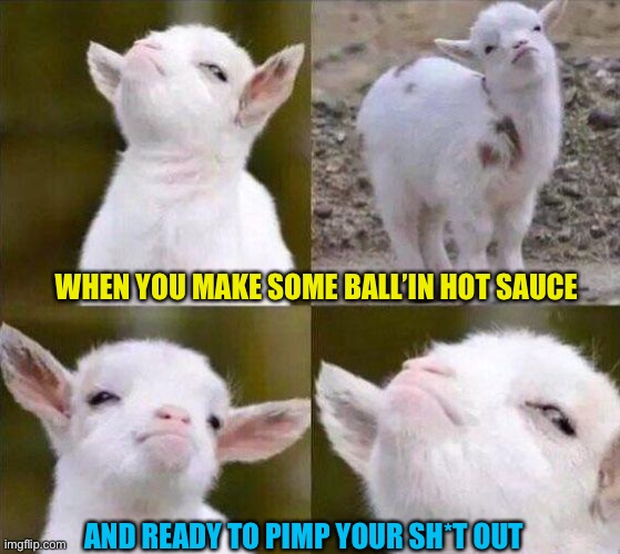Everyone makes hot sauce so that idea won’t go far, can’t stop drinking it tho | WHEN YOU MAKE SOME BALL’IN HOT SAUCE; AND READY TO PIMP YOUR SH*T OUT | image tagged in smug goat | made w/ Imgflip meme maker