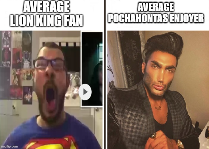 Pocahontas is much better than the Lion King | AVERAGE LION KING FAN; AVERAGE POCHAHONTAS ENJOYER | image tagged in average fan vs average enjoyer | made w/ Imgflip meme maker