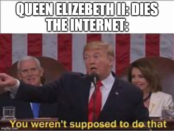 R.I.P. The Queen | QUEEN ELIZEBETH II: DIES
THE INTERNET: | image tagged in memes | made w/ Imgflip meme maker