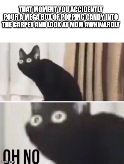 // | THAT MOMENT YOU ACCIDENTLY POUR A MEGA BOX OF POPPING CANDY INTO THE CARPET AND LOOK AT MOM AWKWARDLY | image tagged in oh no cat | made w/ Imgflip meme maker
