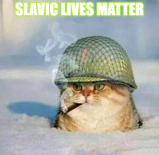 War Cat | SLAVIC LIVES MATTER | image tagged in war cat,slavic | made w/ Imgflip meme maker