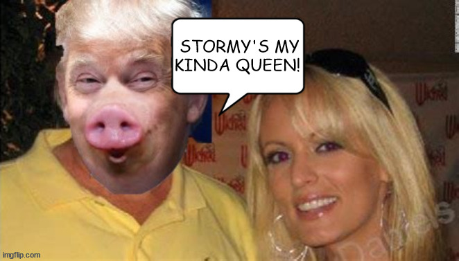 My queen.... | STORMY'S MY KINDA QUEEN! | image tagged in donald trump,stormy danials,pig,queen,maga | made w/ Imgflip meme maker