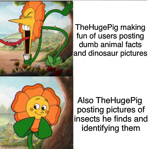 Cuphead Flower | TheHugePig making fun of users posting dumb animal facts and dinosaur pictures; Also TheHugePig 
posting pictures of
insects he finds and
identifying them | image tagged in cuphead flower | made w/ Imgflip meme maker