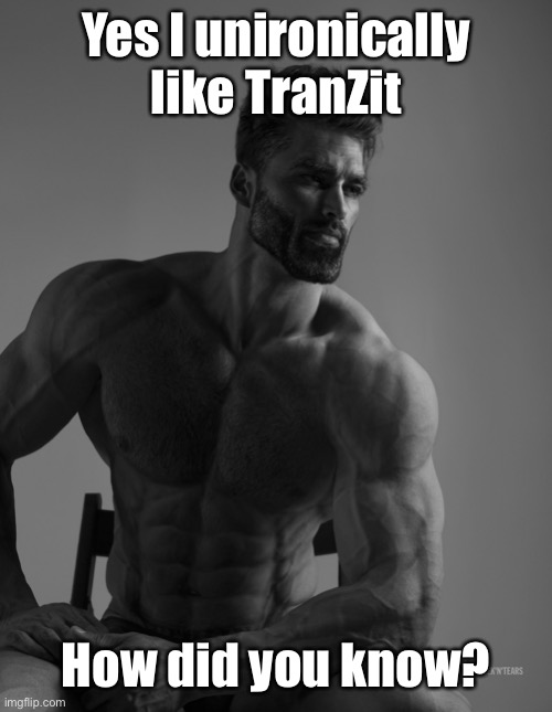 Giga Chad | Yes I unironically like TranZit; How did you know? | image tagged in giga chad | made w/ Imgflip meme maker