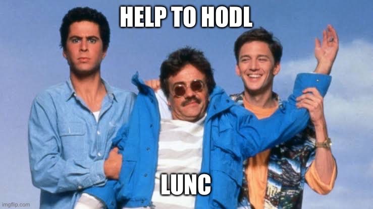 Help to HODL LUNC | HELP TO HODL; LUNC | image tagged in btc | made w/ Imgflip meme maker