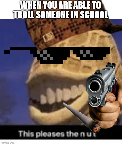 you troll... | WHEN YOU ARE ABLE TO TROLL SOMEONE IN SCHOOL | image tagged in this pleases the nut,troll | made w/ Imgflip meme maker