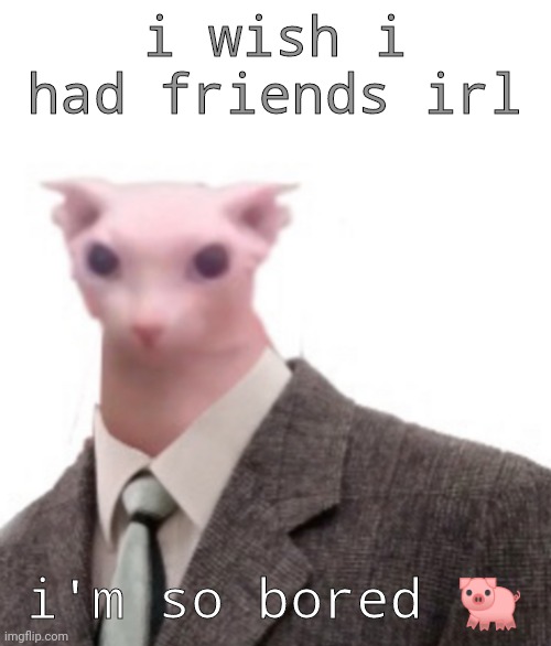 bingus | i wish i had friends irl; i'm so bored 🐖 | image tagged in bingus | made w/ Imgflip meme maker