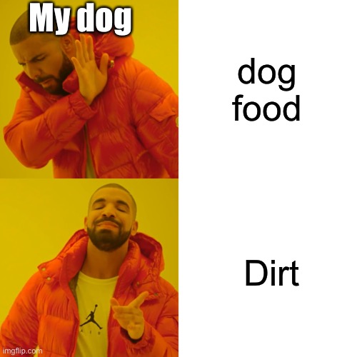 He is a weird dog | My dog; dog food; Dirt | image tagged in memes,drake hotline bling,repost,dog,dogs,funny | made w/ Imgflip meme maker