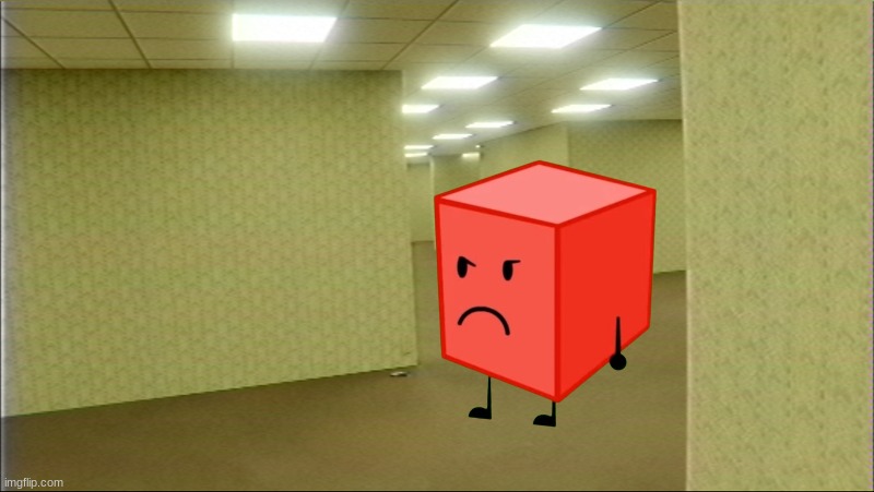 oh no, blokij in le backrom | image tagged in blocky,backrooms | made w/ Imgflip meme maker