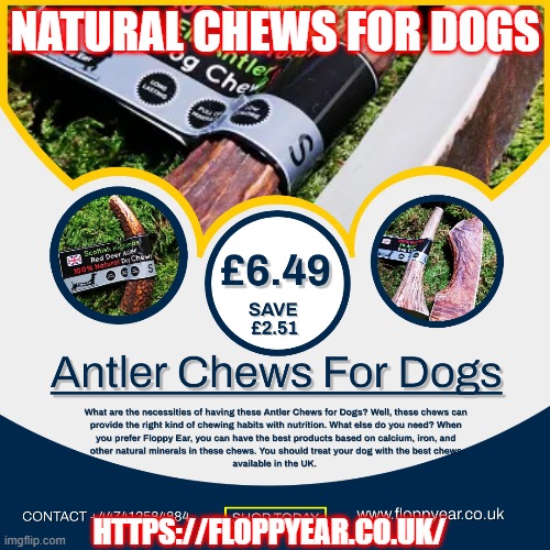 Natural chews for dogs | NATURAL CHEWS FOR DOGS; HTTPS://FLOPPYEAR.CO.UK/ | image tagged in natural chews for dogs,chews for dogs,natural chews | made w/ Imgflip meme maker