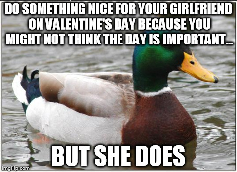 Actual Advice Mallard | DO SOMETHING NICE FOR YOUR GIRLFRIEND ON VALENTINE'S DAY BECAUSE YOU MIGHT NOT THINK THE DAY IS IMPORTANT... BUT SHE DOES | image tagged in memes,actual advice mallard | made w/ Imgflip meme maker