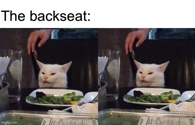 When the kids are arguing on the backseat | The backseat: | image tagged in kids,cats,arguing | made w/ Imgflip meme maker