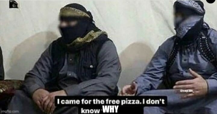 I came for the free pizza | WHY | image tagged in i came for the free pizza | made w/ Imgflip meme maker