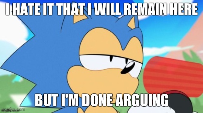 sonic unamused | I HATE IT THAT I WILL REMAIN HERE; BUT I'M DONE ARGUING | image tagged in sonic unamused | made w/ Imgflip meme maker