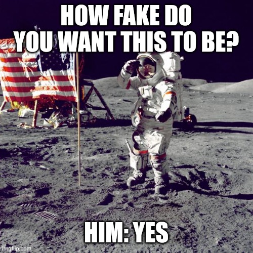 Neil Armstrong | HOW FAKE DO YOU WANT THIS TO BE? HIM: YES | image tagged in neil armstrong | made w/ Imgflip meme maker