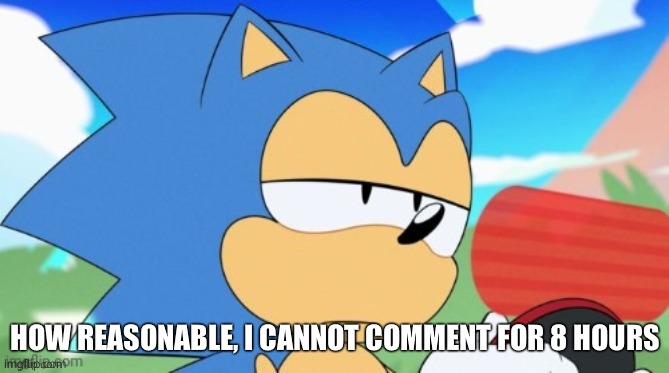 sonic unamused | HOW REASONABLE, I CANNOT COMMENT FOR 8 HOURS | image tagged in sonic unamused | made w/ Imgflip meme maker