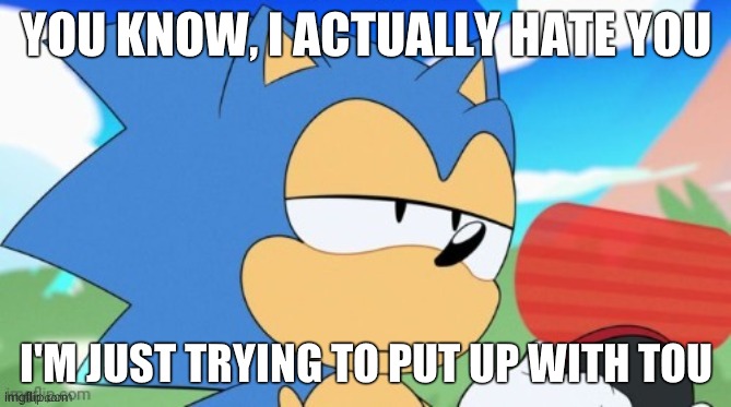 sonic unamused | YOU KNOW, I ACTUALLY HATE YOU; I'M JUST TRYING TO PUT UP WITH TOU | image tagged in sonic unamused | made w/ Imgflip meme maker
