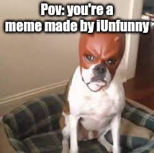 Daredevil dog | Pov: you're a meme made by iUnfunny | image tagged in daredevil dog | made w/ Imgflip meme maker