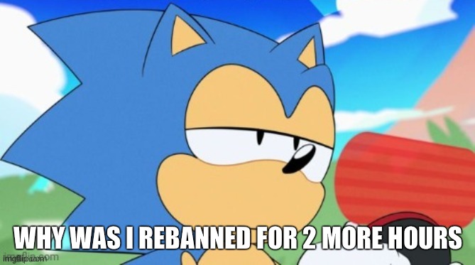 i didn't do anything wrong | WHY WAS I REBANNED FOR 2 MORE HOURS | image tagged in sonic unamused | made w/ Imgflip meme maker