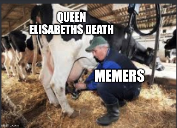 Milking Cow | QUEEN ELISABETHS DEATH MEMERS | image tagged in milking cow | made w/ Imgflip meme maker
