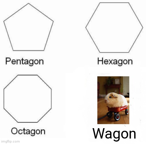 (●'▽'●) | Wagon | image tagged in pentagon hexagon octagon,memes,wagon,cute | made w/ Imgflip meme maker