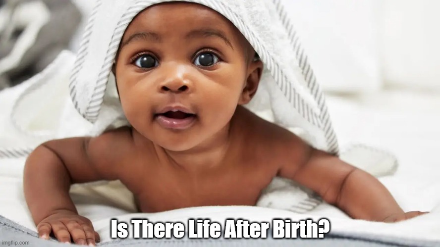 Is There Live After Birth? | Is There Life After Birth? | image tagged in life,birth | made w/ Imgflip meme maker