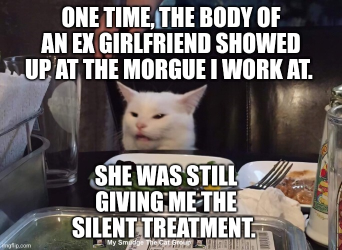 ONE TIME, THE BODY OF AN EX GIRLFRIEND SHOWED UP AT THE MORGUE I WORK AT. SHE WAS STILL GIVING ME THE SILENT TREATMENT. | image tagged in smudge the cat | made w/ Imgflip meme maker