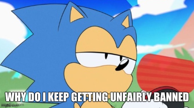 sonic-unamused-imgflip