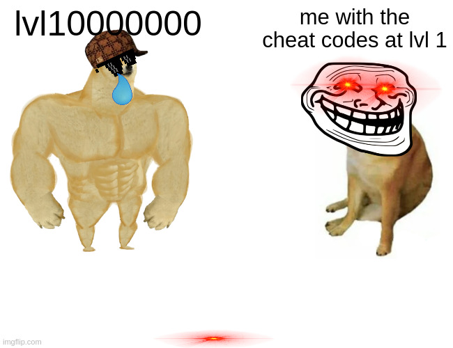 Buff Doge vs. Cheems Meme | lvl10000000; me with the cheat codes at lvl 1 | image tagged in memes,buff doge vs cheems | made w/ Imgflip meme maker