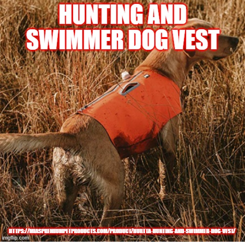 Hunting and Swimmer Dog Vest | HUNTING AND SWIMMER DOG VEST; HTTPS://MIASPREMIUMPETPRODUCTS.COM/PRODUCT/HURTTA-HUNTING-AND-SWIMMER-DOG-VEST/ | image tagged in hunting and swimmer dog vest,swimmer dog vest,hunting dog vest | made w/ Imgflip meme maker