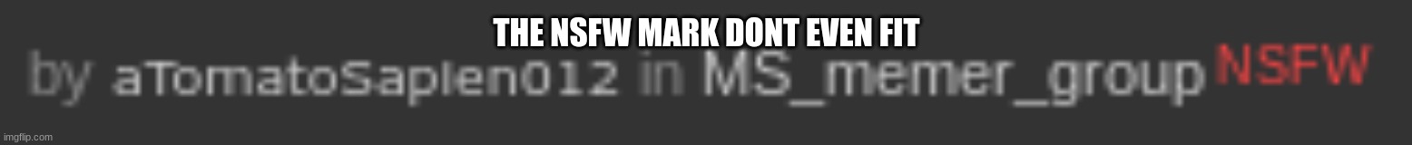 THE NSFW MARK DONT EVEN FIT | made w/ Imgflip meme maker