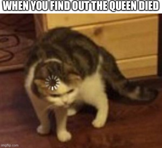 Loading cat | WHEN YOU FIND OUT THE QUEEN DIED | image tagged in loading cat | made w/ Imgflip meme maker