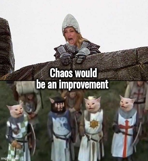 screaming lady 4 cats | Chaos would be an improvement | image tagged in screaming lady 4 cats | made w/ Imgflip meme maker