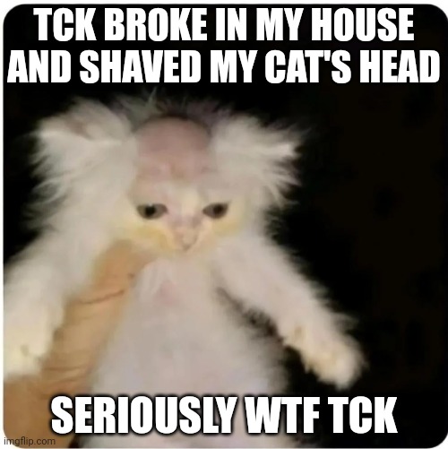 TCK BROKE IN MY HOUSE AND SHAVED MY CAT'S HEAD; SERIOUSLY WTF TCK | made w/ Imgflip meme maker