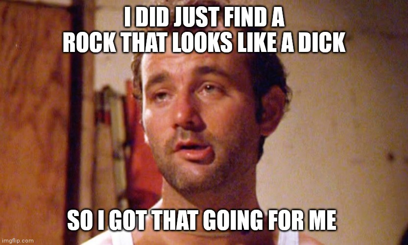 Carl | I DID JUST FIND A ROCK THAT LOOKS LIKE A DICK; SO I GOT THAT GOING FOR ME | image tagged in carl | made w/ Imgflip meme maker
