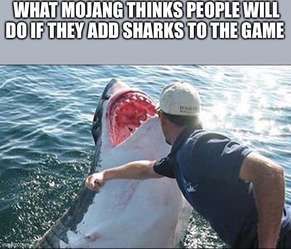 WHAT MOJANG THINKS PEOPLE WILL DO IF THEY ADD SHARKS TO THE GAME | image tagged in memes,funny,shark,minecraft | made w/ Imgflip meme maker