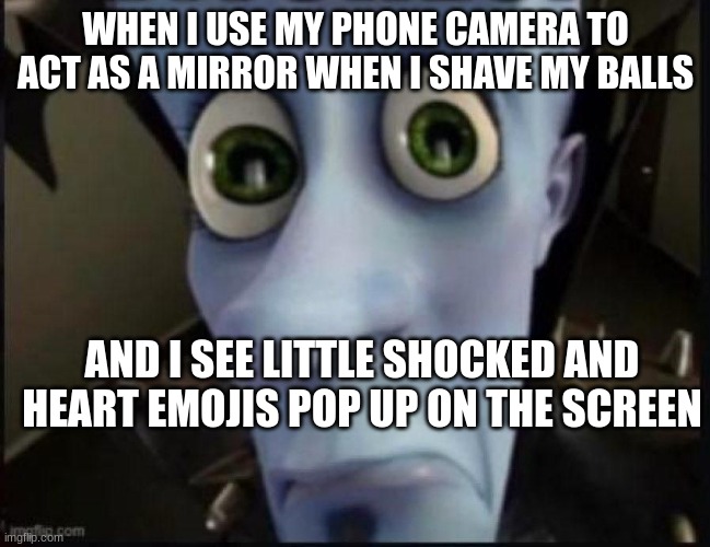 IGHGAISHNFJF A WHY GODD WHY i HAD A DECENT AMOUNT OF FOLLOWERSSSSS | WHEN I USE MY PHONE CAMERA TO ACT AS A MIRROR WHEN I SHAVE MY BALLS; AND I SEE LITTLE SHOCKED AND HEART EMOJIS POP UP ON THE SCREEN | image tagged in bitches | made w/ Imgflip meme maker