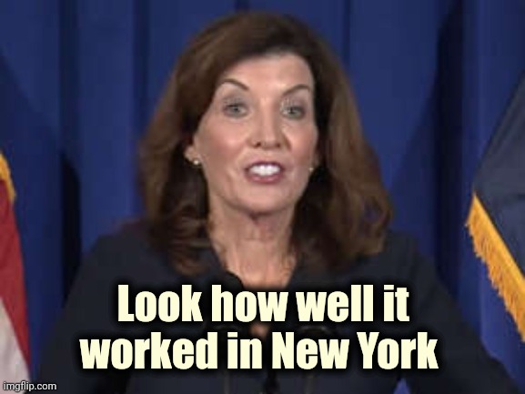 Kathy Hochul | Look how well it worked in New York | image tagged in kathy hochul | made w/ Imgflip meme maker
