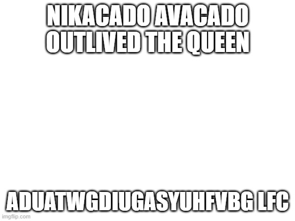 ? | NIKACADO AVACADO OUTLIVED THE QUEEN; ADUATWGDIUGASYUHFVBG LFC | image tagged in blank white template | made w/ Imgflip meme maker