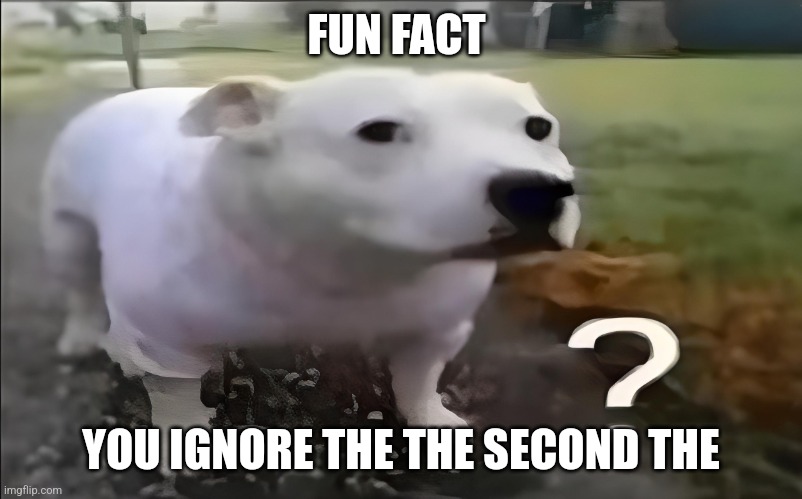 Huh Dog | FUN FACT; YOU IGNORE THE THE SECOND THE | image tagged in huh dog | made w/ Imgflip meme maker