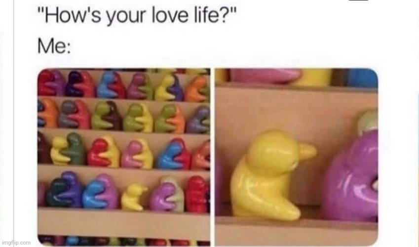 image tagged in funny memes | made w/ Imgflip meme maker