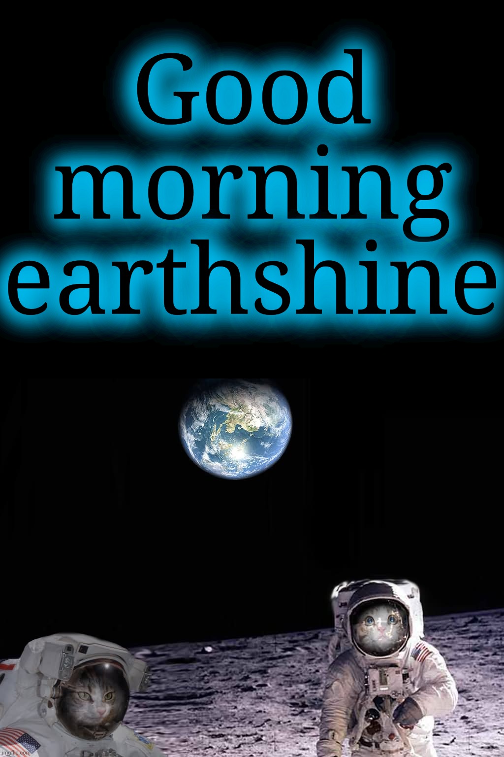 Kitty Cats astronauts space on moon | Good morning earthshine | image tagged in kitty cats astronauts space on moon | made w/ Imgflip meme maker