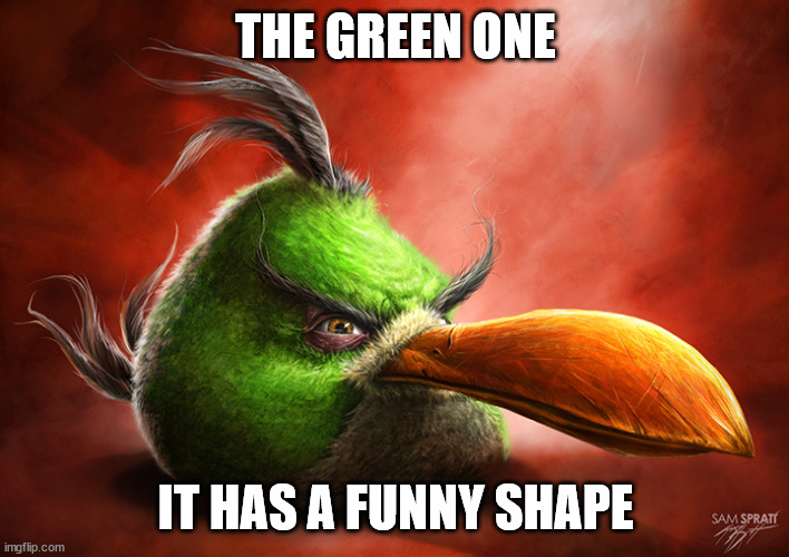 Realistic Angry Bird (green one) | THE GREEN ONE IT HAS A FUNNY SHAPE | image tagged in realistic angry bird green one | made w/ Imgflip meme maker