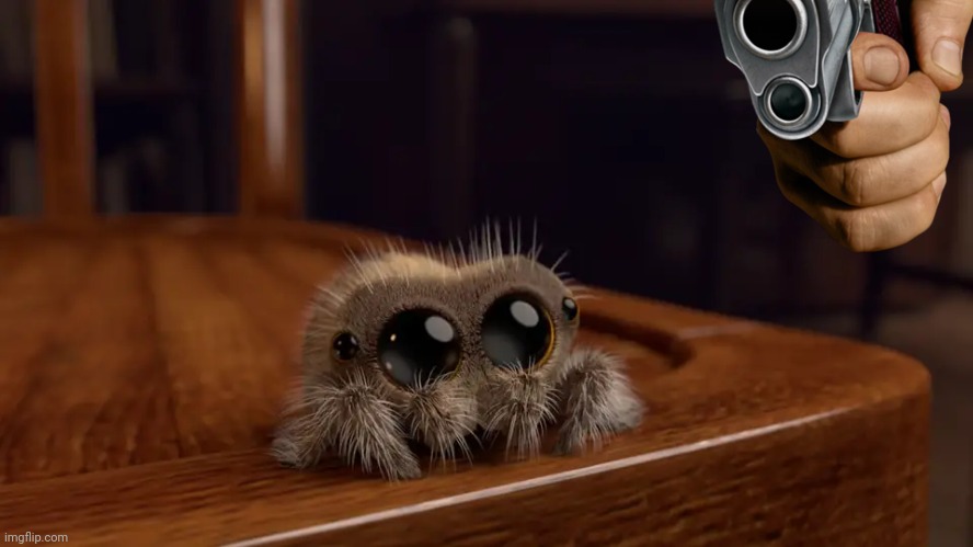 Lucas the Spider | image tagged in lucas the spider | made w/ Imgflip meme maker