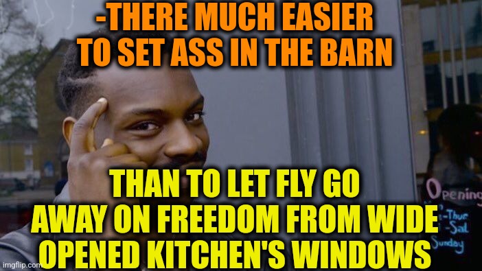 -Its stupidity. | -THERE MUCH EASIER TO SET ASS IN THE BARN; THAN TO LET FLY GO AWAY ON FREEDOM FROM WIDE OPENED KITCHEN'S WINDOWS | image tagged in memes,roll safe think about it,marty mcfly,windows xp,fbi open up,lord kitchener | made w/ Imgflip meme maker